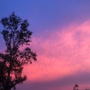 Meet your Posher, Ally